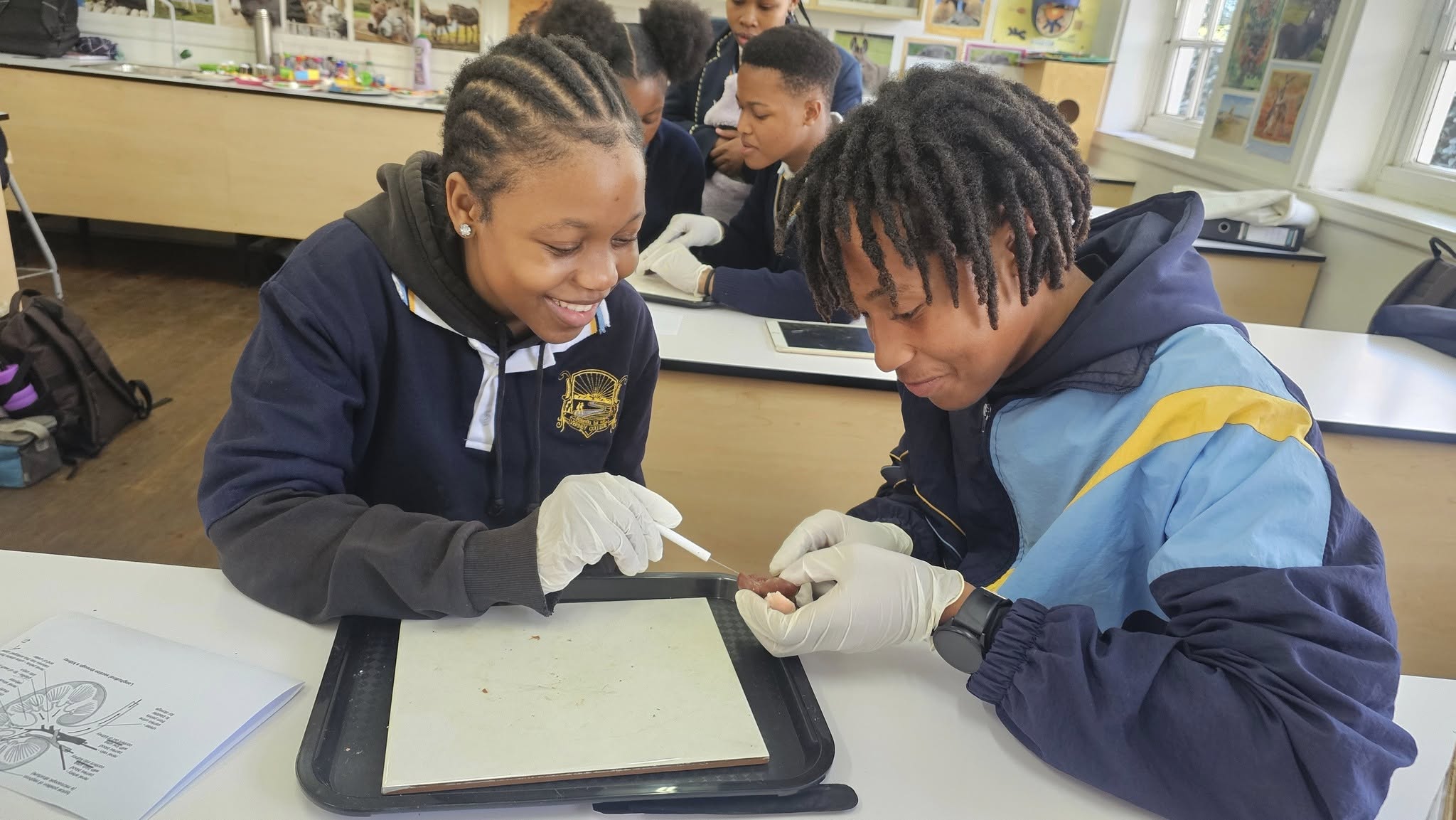 With scalpels and gloves in hand, they explored the real structure of a kidney