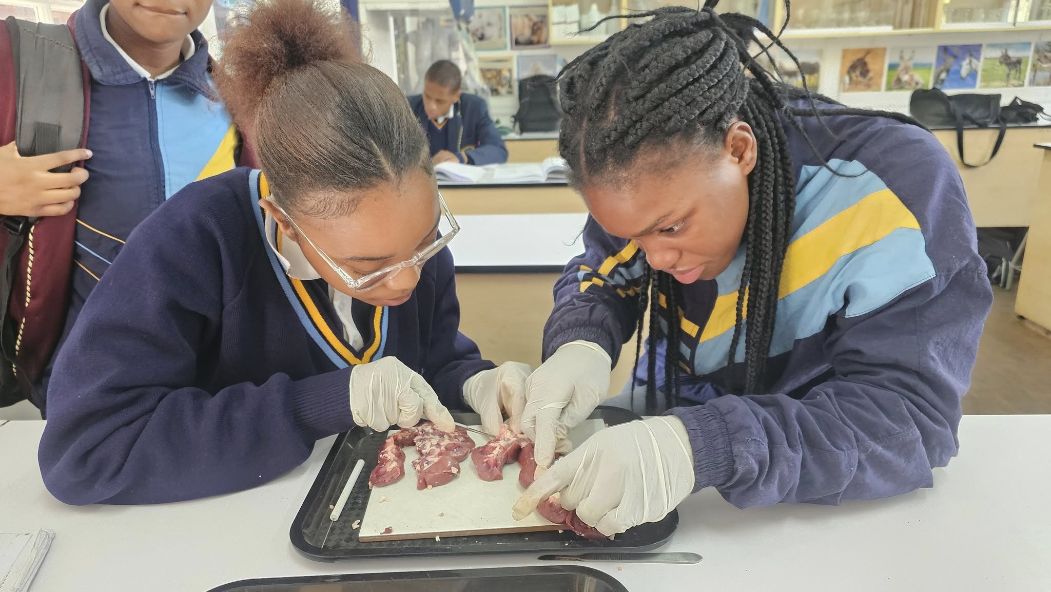 Hands-On Learning in Life Sciences